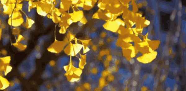 10月19号有雨吗—10月19日有雨吗