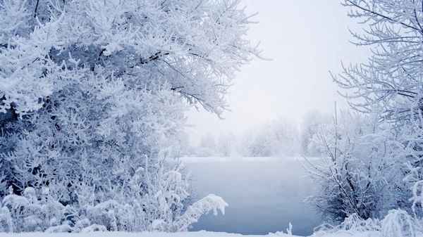 兩驅的雪地模式有用嗎;兩驅車的雪地模式是什么原理