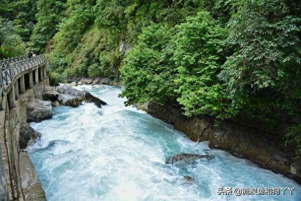 喇叭河景區可以開車上山嗎;喇叭河景區可以開車上山嗎今天
