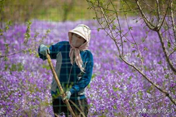 多子女老人赡养问题—多子女赡养义务的法律规定