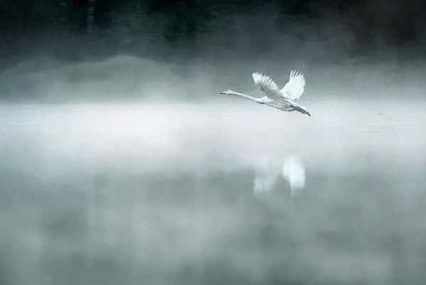 漏断人初静的上一句_漏断人初静的上一句诗句是什么