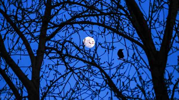 夜静春山空的全诗(千里莺啼绿映红,水村山郭酒旗风什么意思)