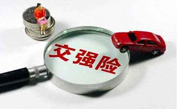 車險續保的保險種類(車險續保是什么意思)