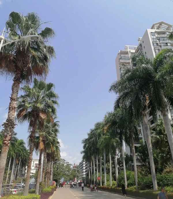 乐东房产、乐东房产公众信息服务平台