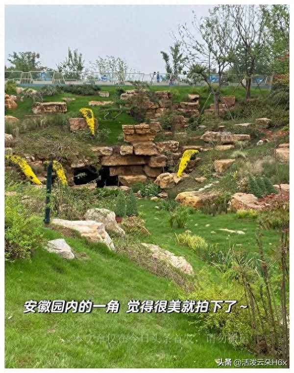 怎么預約園博園門票(怎么預約園博園免費門票)
