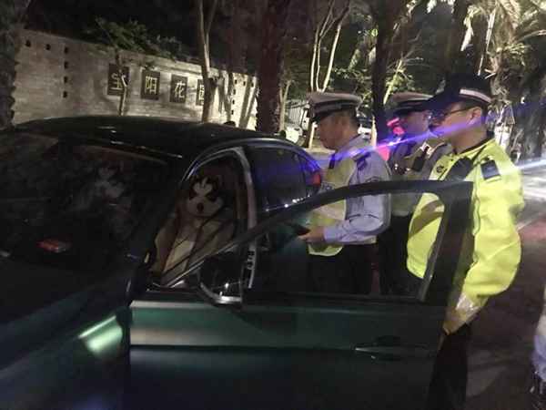 多少失驾人员还在开车-失驾是什么意思