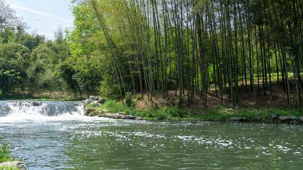 诗经卫风淇奥拼音_诗经卫风 淇澳朗读