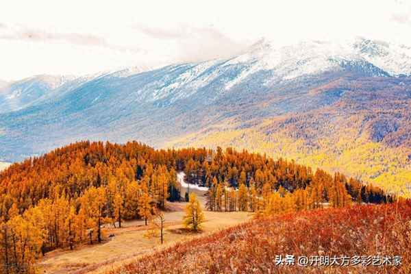 中國十大濕地排名-中國十大濕地排名鹽城