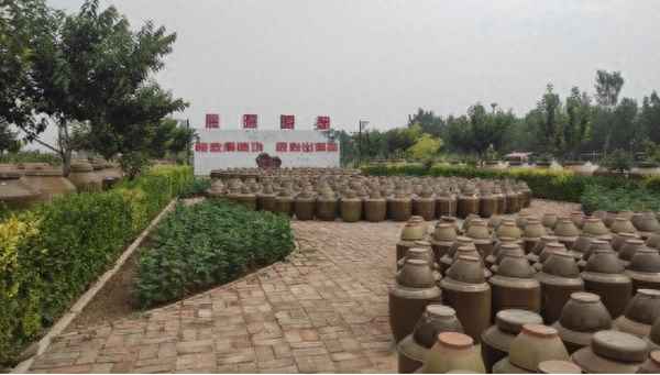 花生米浸泡醋有什么功效(正確的醋泡花生方法)