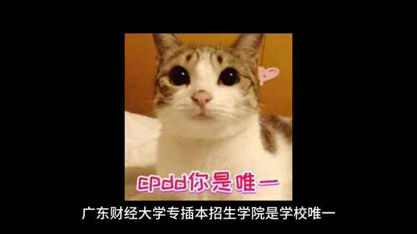 广东财经大学插本_广东财经大学插本专业录取分数