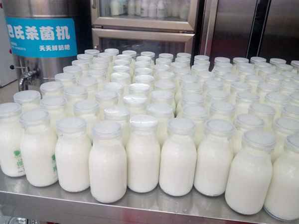 鮮奶站的利潤大嗎_牛奶自動售賣機能掙錢嗎