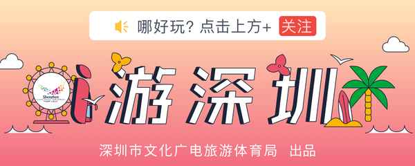 深圳红树林和红树湾是一个地方吗(红树林和深圳湾哪个好玩)