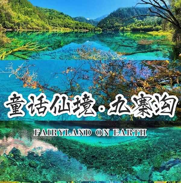 去九寨溝需要報團嗎、去九寨溝旅游還要報團嗎