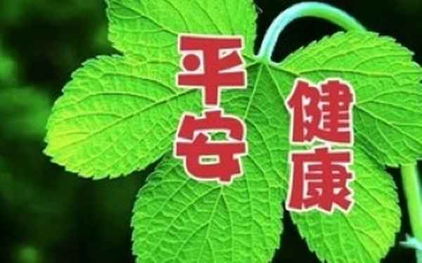 幫助他人快樂自己的名言—助人為樂的諺語和名言