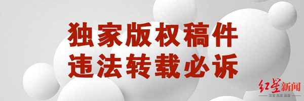 被500只蜜蜂蛰死(被500只蜜蜂活活蛰死)