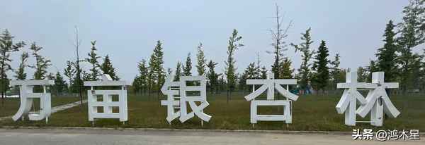 去年的樹課文被刪除了嗎—搜索去年的樹這篇課文