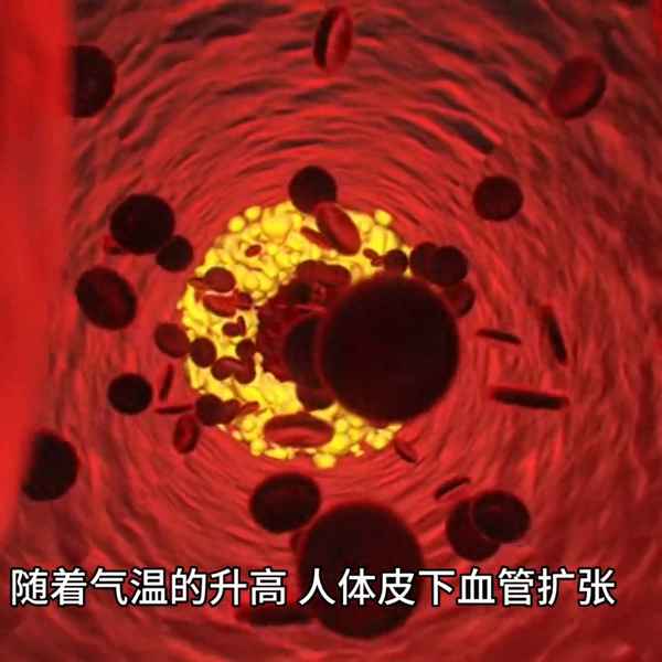 高温天气的预防措施—高温天气的预防措施是