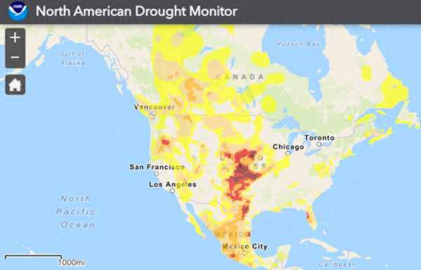 小麦适合生长的环境,小麦适宜生长的环境