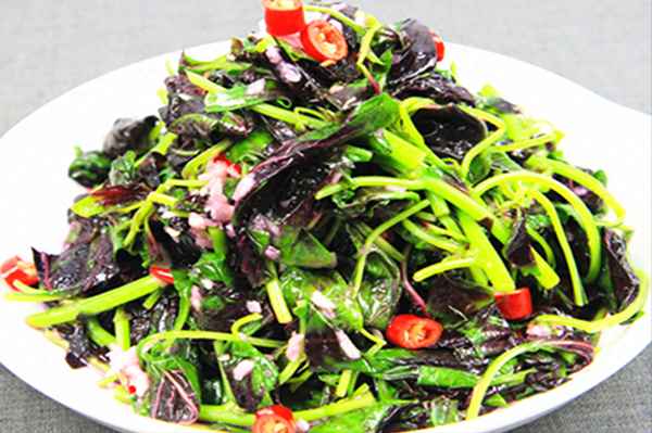 家常菜菜譜大全100道圖片(菜譜大全家常菜做法)