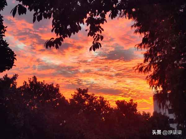 簡愛電影讀后感80字;簡愛電影讀后感80字怎么寫