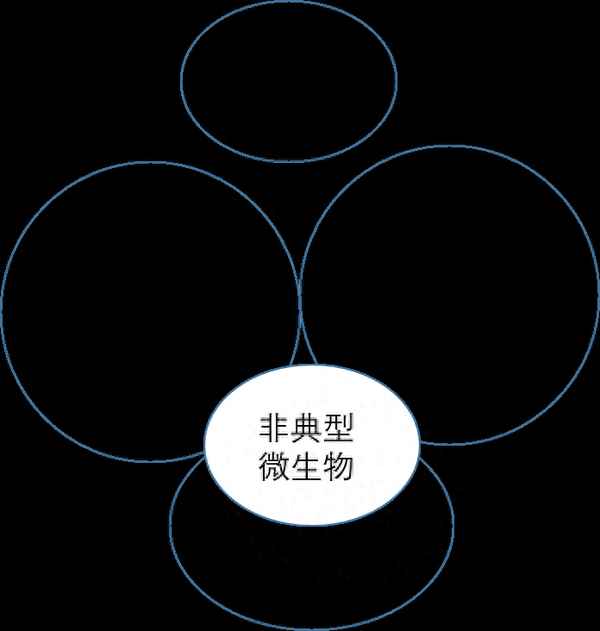 怎么判斷吃阿奇還是羅紅霉素(怎么判斷吃阿奇還是羅紅霉素片)