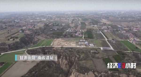 稻谷遺存是哪個遺址_稻谷遺址距今多少年