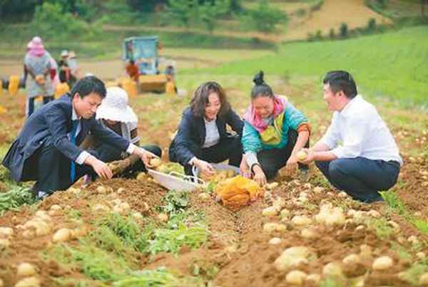 锐财经专栏、财经锐眼百家号
