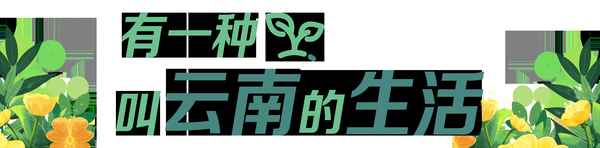 玉溪市華寧縣柑橘介紹_玉溪華寧柑橘節2021