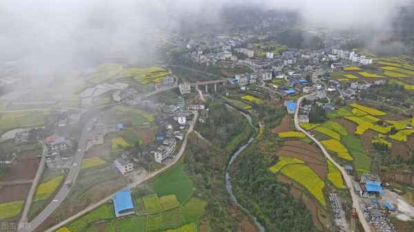 銅仁房產(chǎn)、銅仁房產(chǎn)局電話(huà)