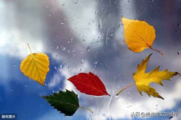 句句不提雨 句句都是雨;今年很火的一段話一場雨