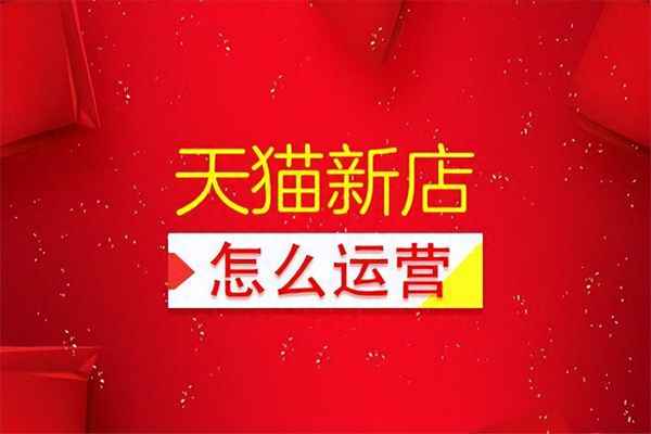 淘宝新店铺运营案例、淘宝新店铺运营案例分析