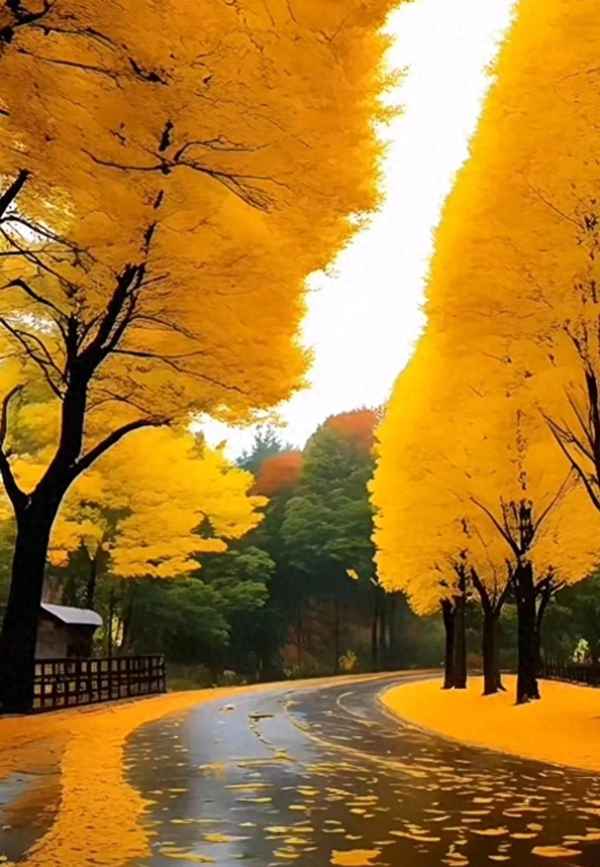 老了才知道一切都是命(命太好的人童年会遭受磨难吗)