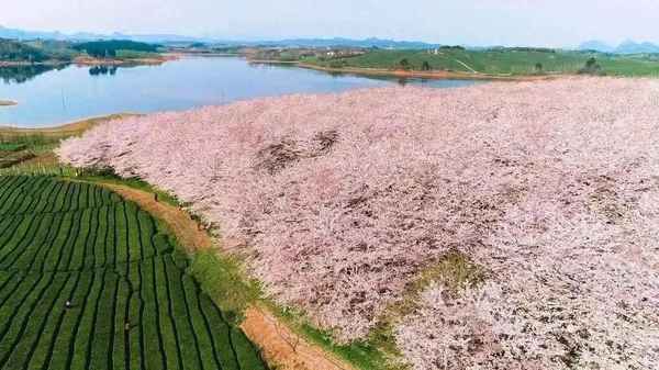 貴陽紅楓湖景區(qū)民宿(貴陽紅楓湖景區(qū)民宿看湖)