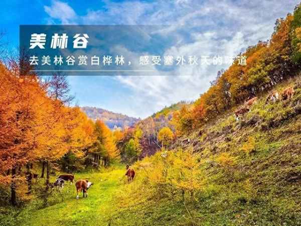 赤峰一日游必去景點;內蒙赤峰旅游攻略必玩的景點