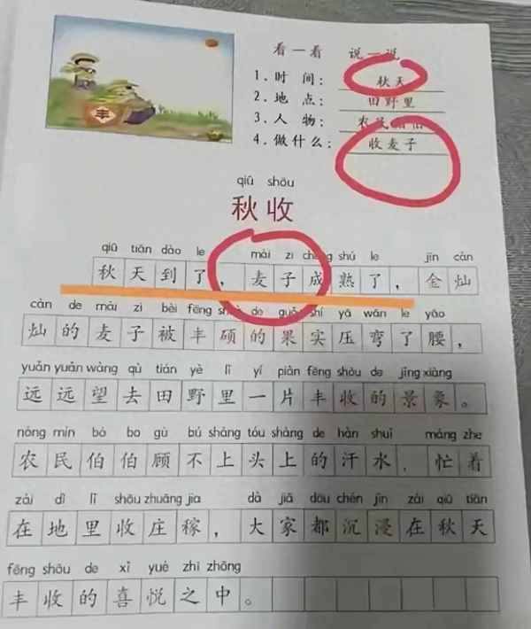 先有小麥還是先有稻谷-先有水稻還是先有粟