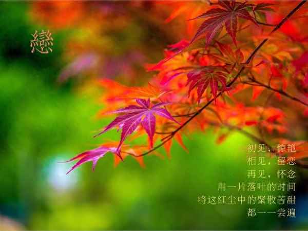 你想珍惜后悔都很遲(后悔 珍惜)