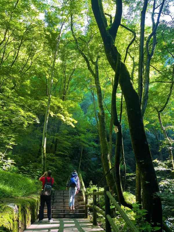 牛背梁景區索道費用,牛背梁索道上站到山頂多遠