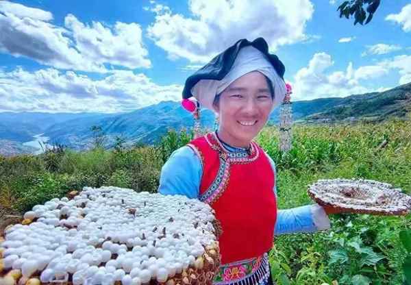 野生馬蜂窩有什么用處,馬蜂窩怎么用壯陽