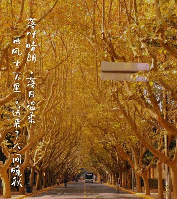 秋天最走心的精辟句子-秋天最走心的精辟句子图片