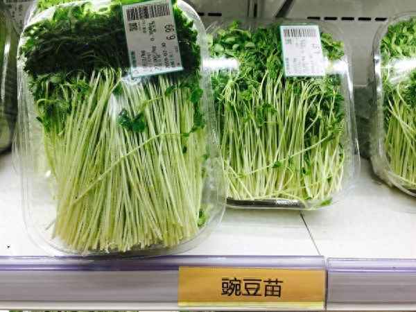 養顏美容的食物有哪些;養顏美容的食材有哪幾種