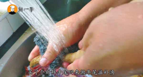 怎么燉牛尾又爛又香竅門—怎么燉牛尾又爛又香竅門圖片