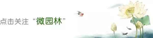 留園教育_留園最新房價與樓盤