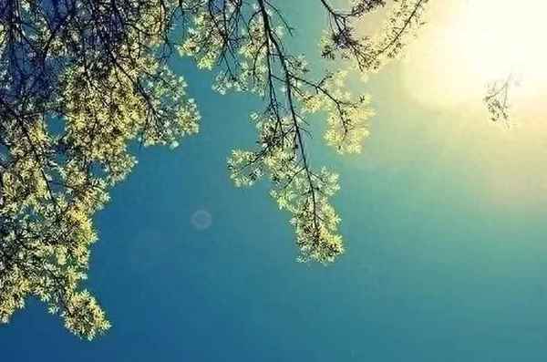 身不由己的經(jīng)典句子、身不由己的經(jīng)典句子圖片