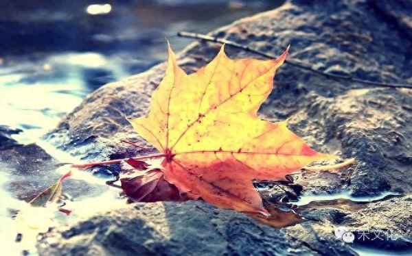 银烛秋光冷画屏轻罗小扇扑流萤、月落乌啼霜满天江枫渔火对愁眠