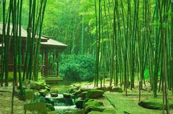 唐代詩人王維的詩有哪些、王維的詩大全100首