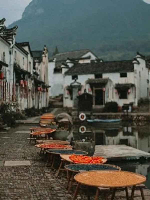 歡迎你來(lái)到我的城市—?dú)g迎你來(lái)我的家鄉(xiāng)做客