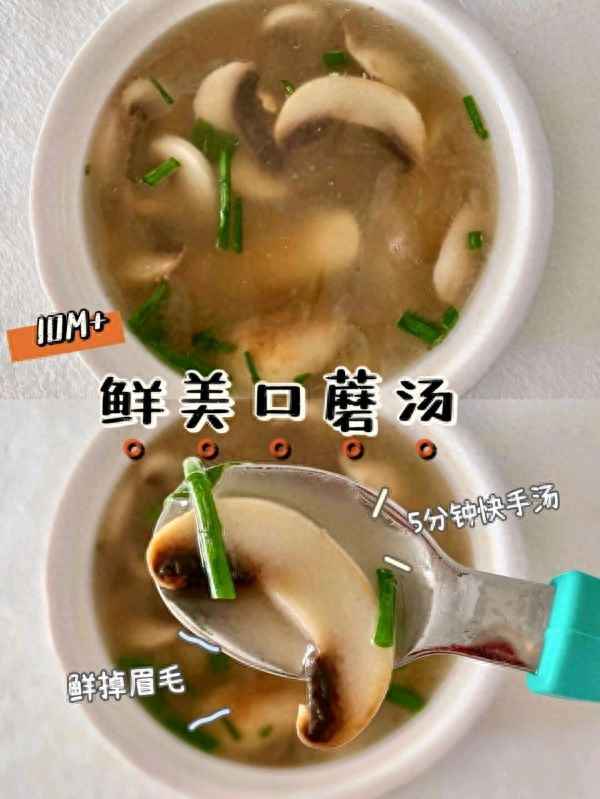 白蘑菇的十種最佳吃法、白蘑菇做法大全