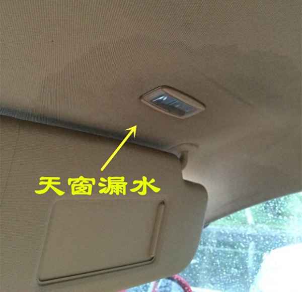 車底漏水有幾種原因;車底漏水有幾種原因 綠色的