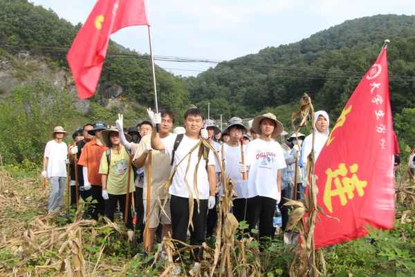大學生勞動實踐感悟;大學生勞動實踐感悟200字