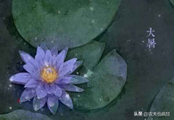 描述大暑的諺語有哪些-大署的彥語
